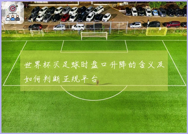世界杯买足球时盘口升降的含义及如何判断正规平台