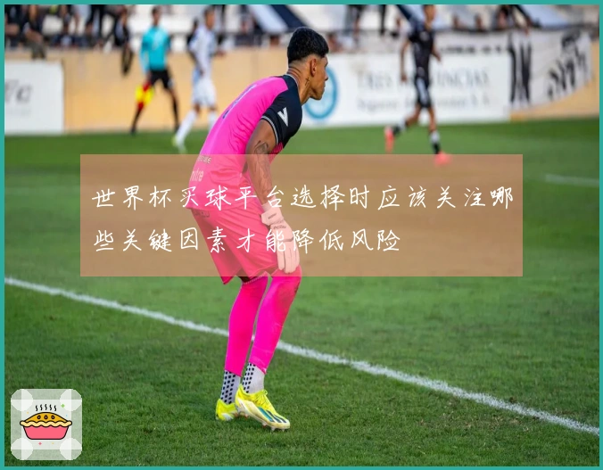 世界杯买球平台选择时应该关注哪些关键因素才能降低风险