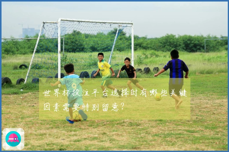世界杯投注平台选择时有哪些关键因素需要特别留意？
