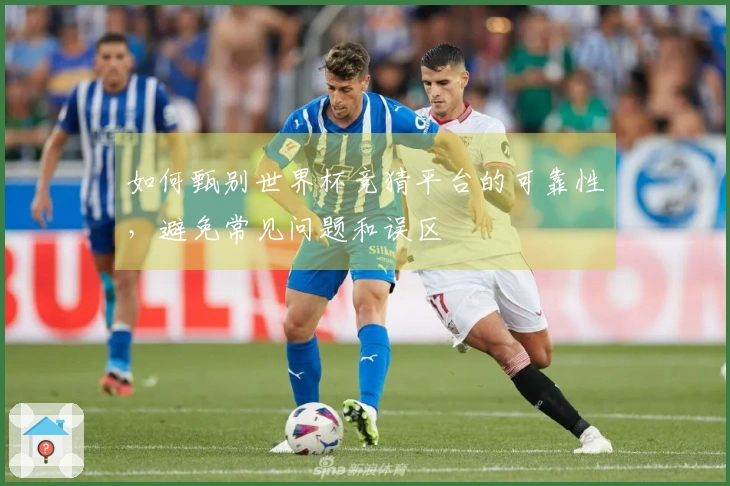 如何甄别世界杯竞猜平台的可靠性，避免常见问题和误区