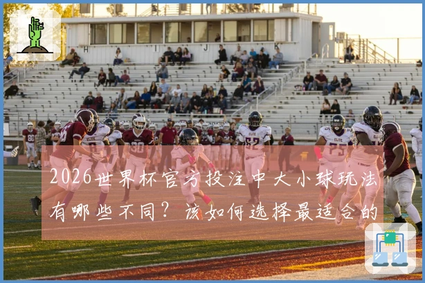 2026世界杯官方投注中大小球玩法有哪些不同？该如何选择最适合的投注方式？
