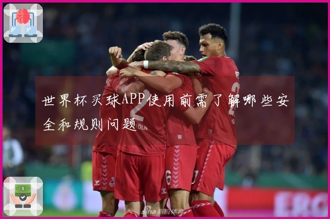 世界杯买球APP使用前需了解哪些安全和规则问题