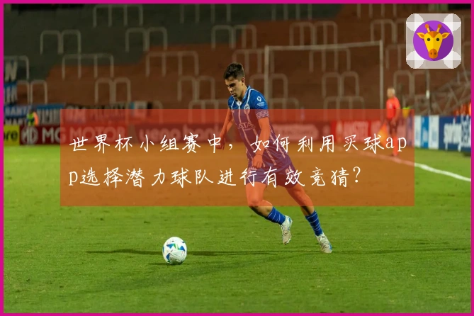 世界杯小组赛中，如何利用买球app选择潜力球队进行有效竞猜？