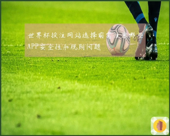 世界杯投注网站选择前需注意哪些APP安全性和规则问题
