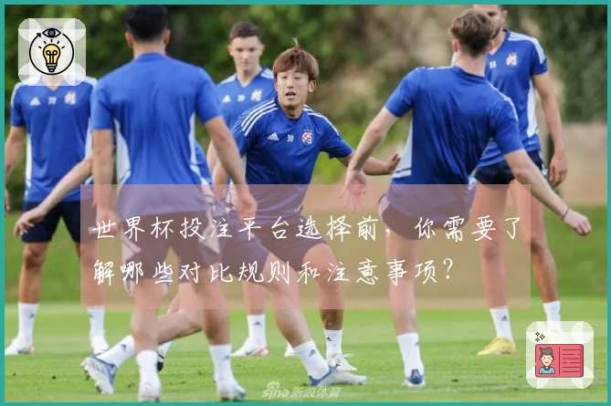 世界杯投注平台选择前，你需要了解哪些对比规则和注意事项？