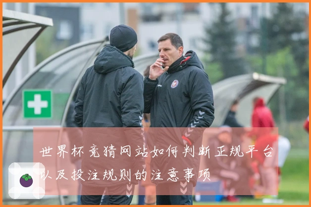 世界杯竞猜网站如何判断正规平台以及投注规则的注意事项
