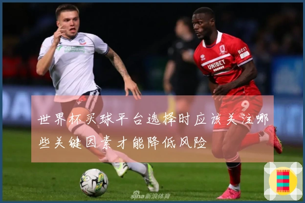 世界杯买球平台选择时应该关注哪些关键因素才能降低风险