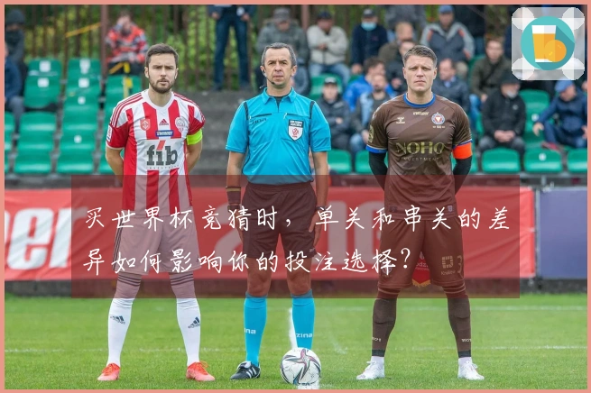 买世界杯竞猜时，单关和串关的差异如何影响你的投注选择？