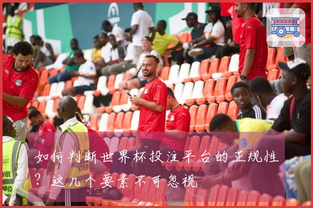 如何判断世界杯投注平台的正规性？这几个要素不可忽视