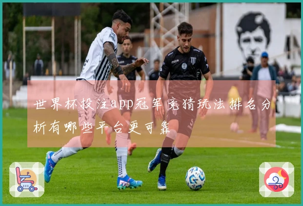 世界杯投注app冠军竞猜玩法排名分析有哪些平台更可靠