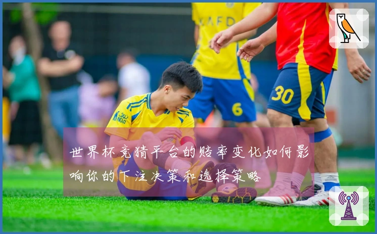 世界杯竞猜平台的赔率变化如何影响你的下注决策和选择策略