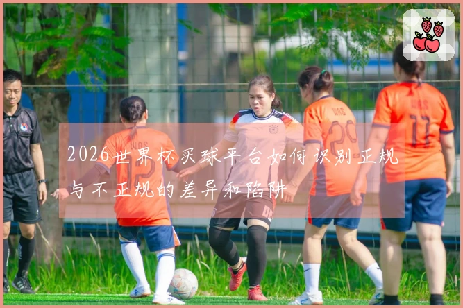 2026世界杯买球平台如何识别正规与不正规的差异和陷阱