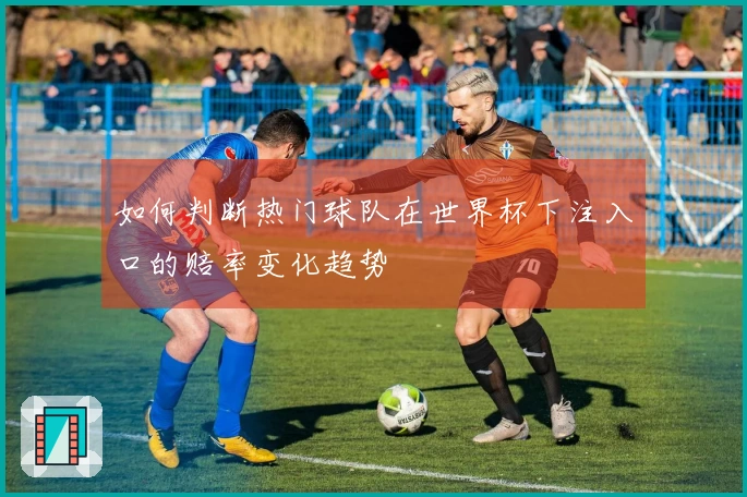 如何判断热门球队在世界杯下注入口的赔率变化趋势