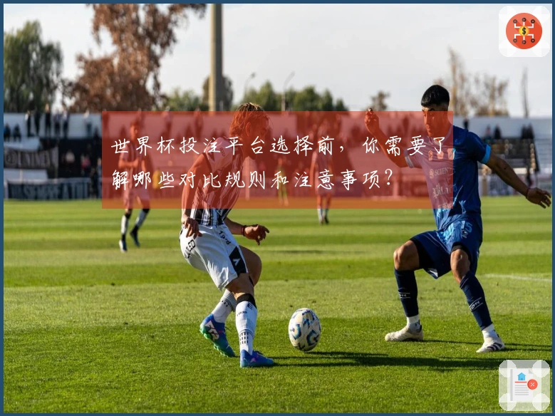 世界杯投注平台选择前，你需要了解哪些对比规则和注意事项？