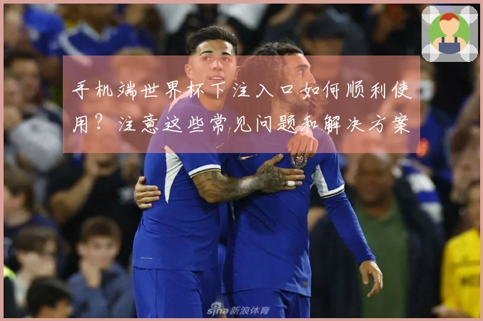 手机端世界杯下注入口如何顺利使用？注意这些常见问题和解决方案