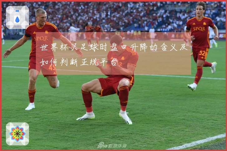 世界杯买足球时盘口升降的含义及如何判断正规平台