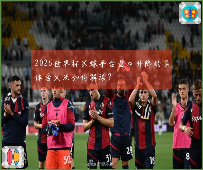 2026世界杯买球平台盘口升降的具体含义及如何解读？